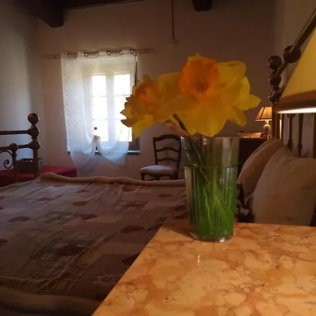 Bed & Breakfast Podere Oliveta Montecatini Val di Cecina